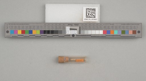 NSF ADBC EPICC TCN