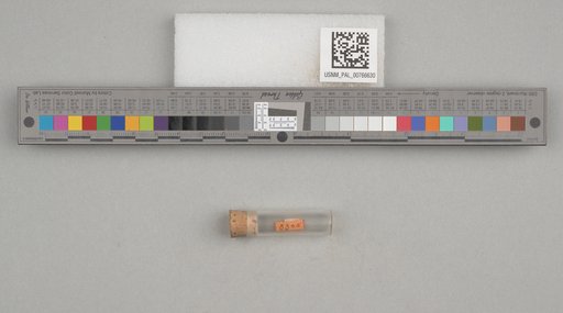 NSF ADBC EPICC TCN