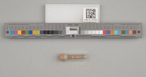 NSF ADBC EPICC TCN
