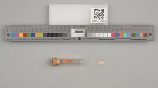 NSF ADBC EPICC TCN