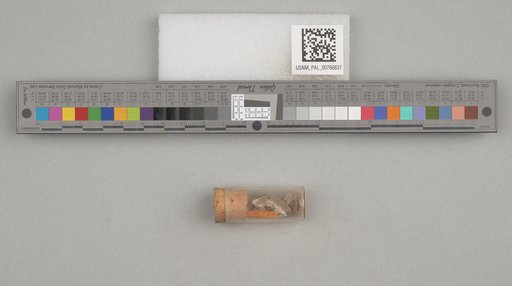 NSF ADBC EPICC TCN
