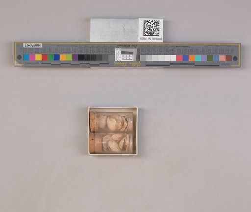 NSF ADBC EPICC TCN