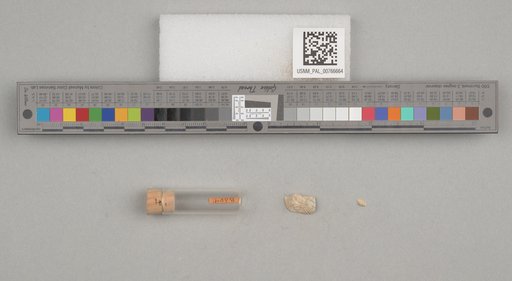 NSF ADBC EPICC TCN