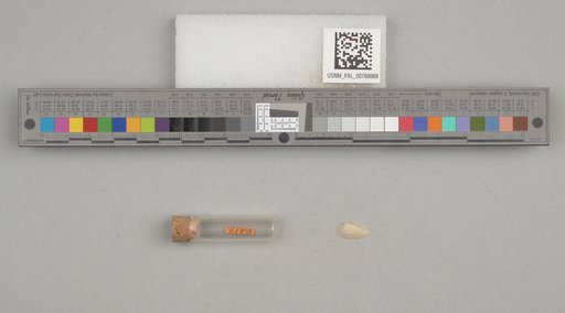 NSF ADBC EPICC TCN