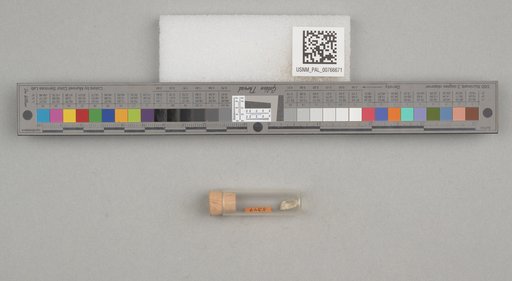 NSF ADBC EPICC TCN