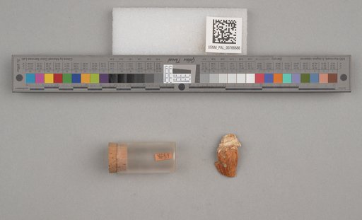 NSF ADBC EPICC TCN