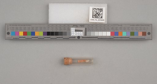 NSF ADBC EPICC TCN