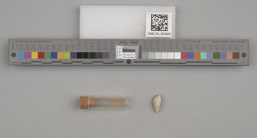 NSF ADBC EPICC TCN