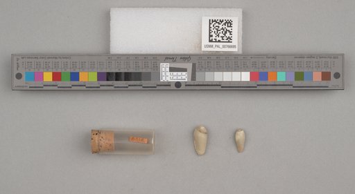 NSF ADBC EPICC TCN