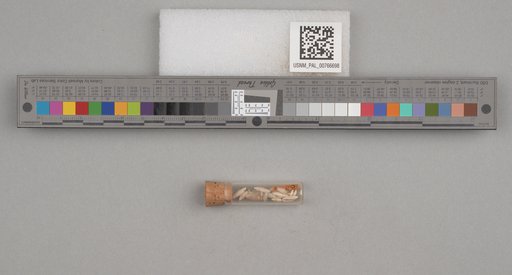 NSF ADBC EPICC TCN