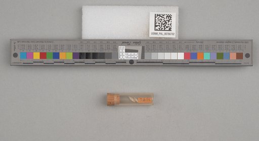 NSF ADBC EPICC TCN
