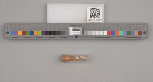NSF ADBC EPICC TCN