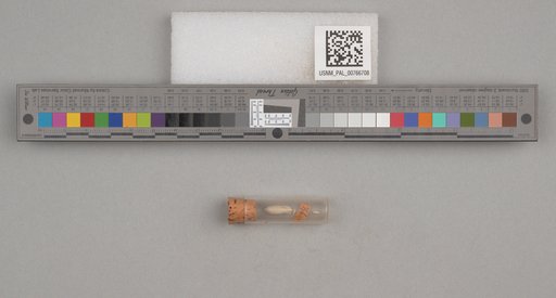 NSF ADBC EPICC TCN