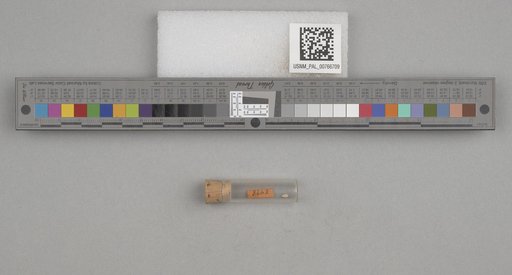 NSF ADBC EPICC TCN