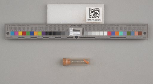 NSF ADBC EPICC TCN