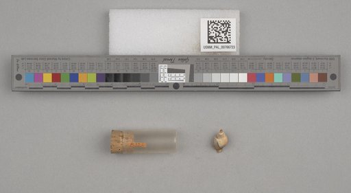NSF ADBC EPICC TCN