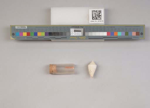 NSF ADBC EPICC TCN