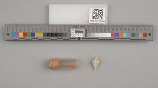 NSF ADBC EPICC TCN