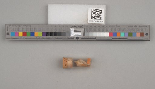 NSF ADBC EPICC TCN