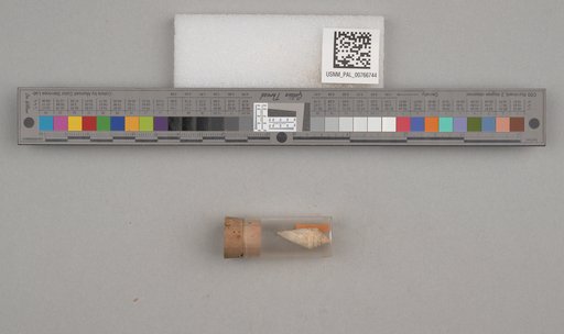 NSF ADBC EPICC TCN