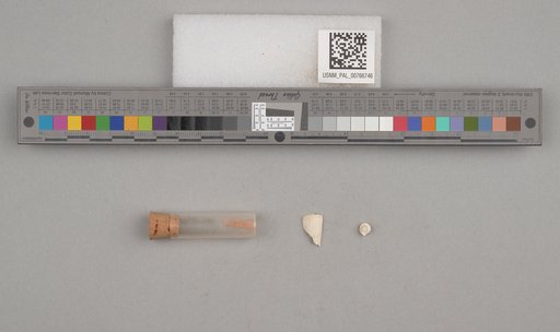 NSF ADBC EPICC TCN