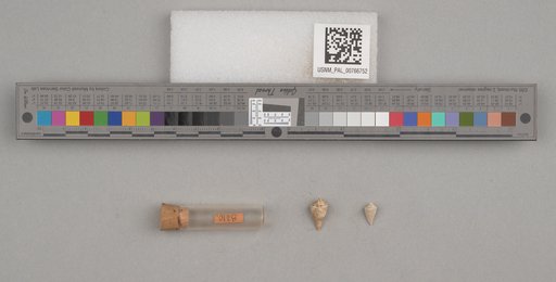 NSF ADBC EPICC TCN