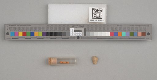 NSF ADBC EPICC TCN