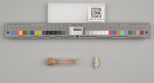 NSF ADBC EPICC TCN
