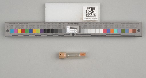 NSF ADBC EPICC TCN