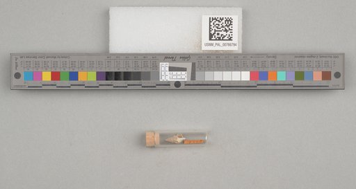 NSF ADBC EPICC TCN