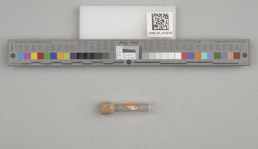 NSF ADBC EPICC TCN
