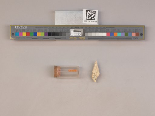 NSF ADBC EPICC TCN