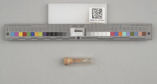 NSF ADBC EPICC TCN