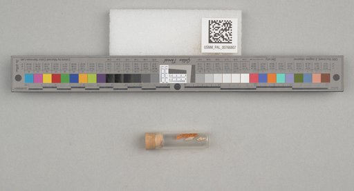 NSF ADBC EPICC TCN