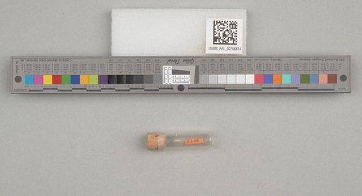 NSF ADBC EPICC TCN