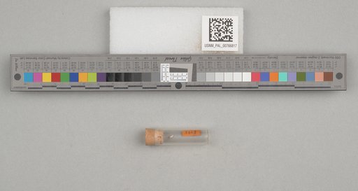 NSF ADBC EPICC TCN