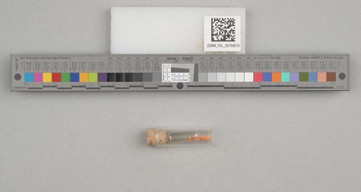 NSF ADBC EPICC TCN