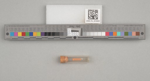 NSF ADBC EPICC TCN