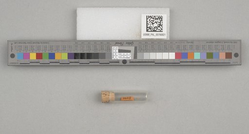 NSF ADBC EPICC TCN
