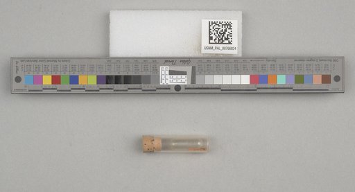 NSF ADBC EPICC TCN