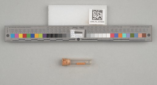 NSF ADBC EPICC TCN