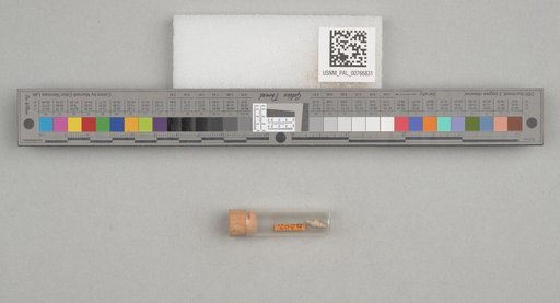 NSF ADBC EPICC TCN