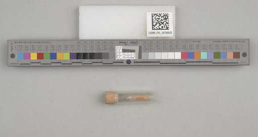 NSF ADBC EPICC TCN