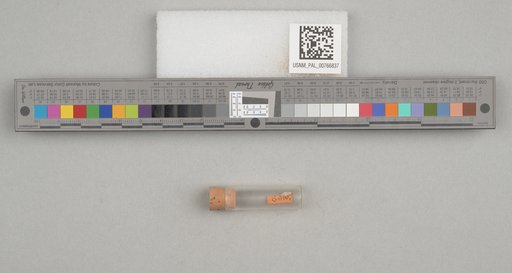 NSF ADBC EPICC TCN