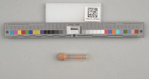 NSF ADBC EPICC TCN