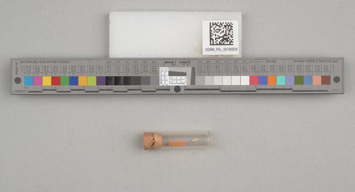 NSF ADBC EPICC TCN