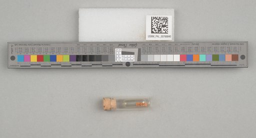 NSF ADBC EPICC TCN