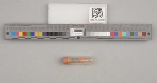 NSF ADBC EPICC TCN
