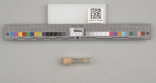 NSF ADBC EPICC TCN