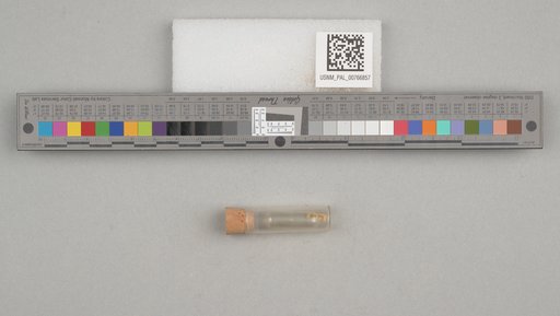 NSF ADBC EPICC TCN